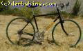 VeloCity  Custom  Hand-Welded  Road  Bike